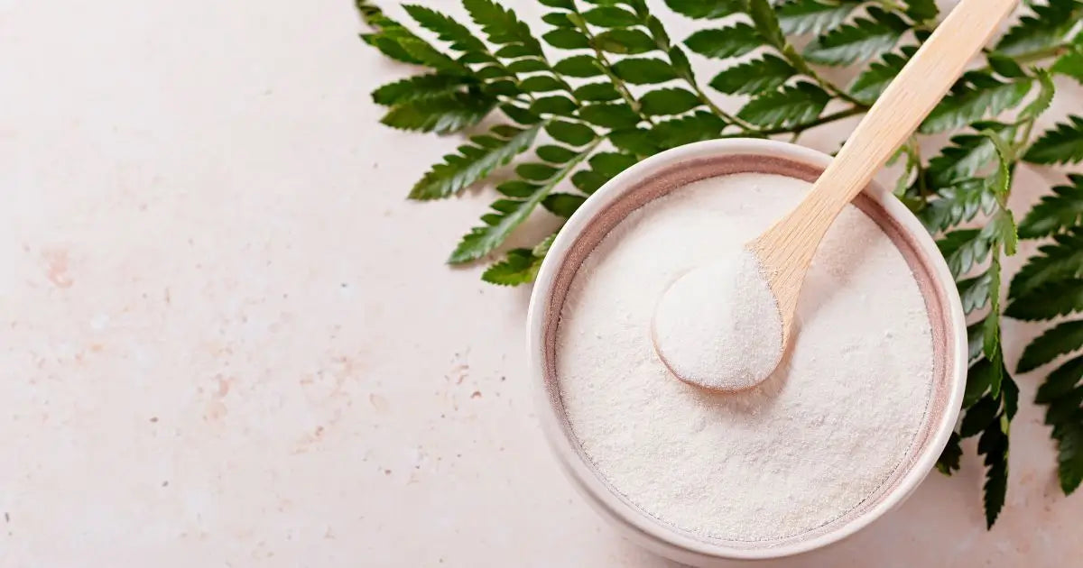 What is Vegan Collagen? Benefits and How It Works