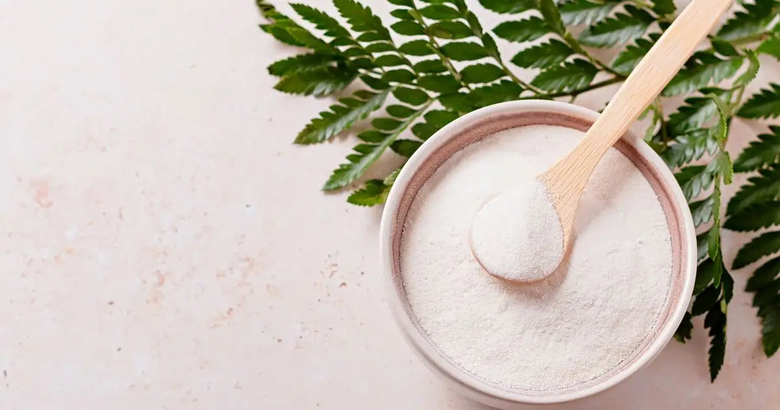 What is Vegan Collagen? Benefits and How It Works