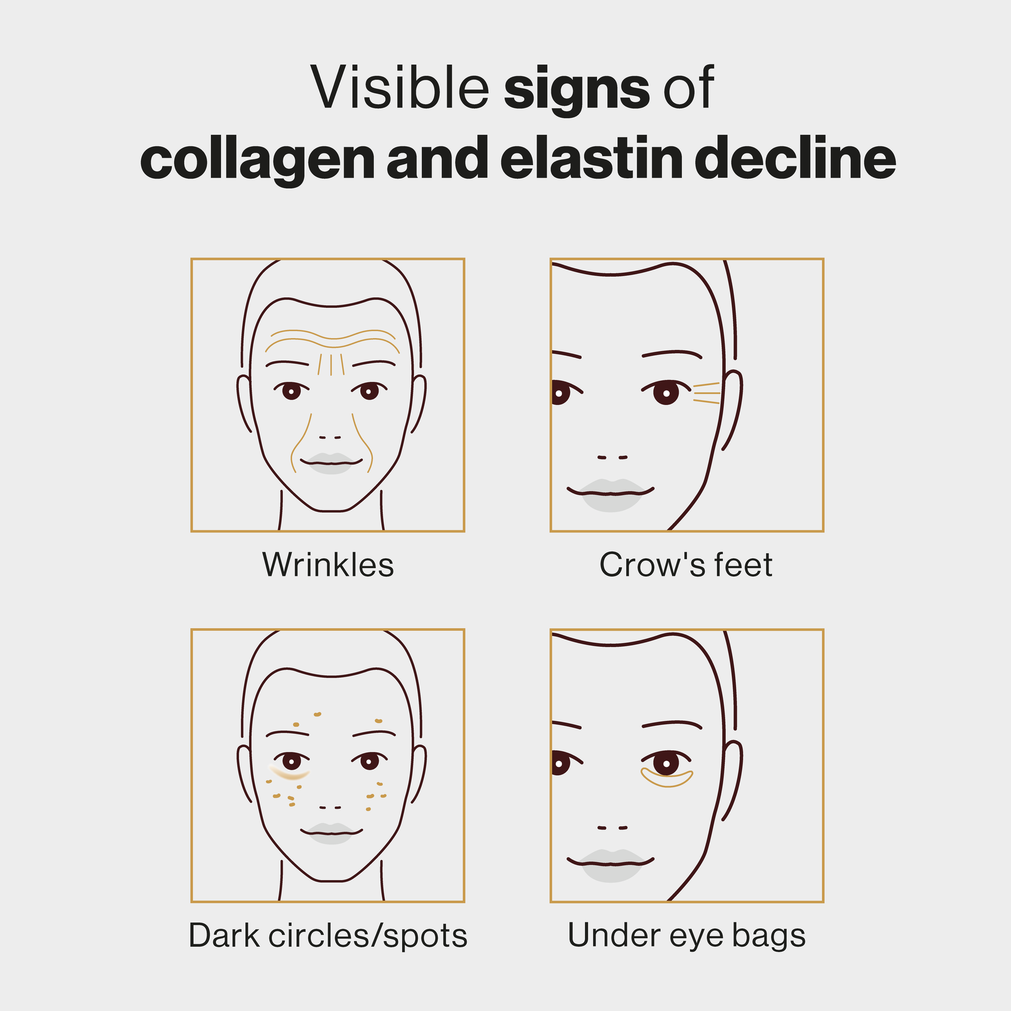 Visible signs of collagen and elastin decline